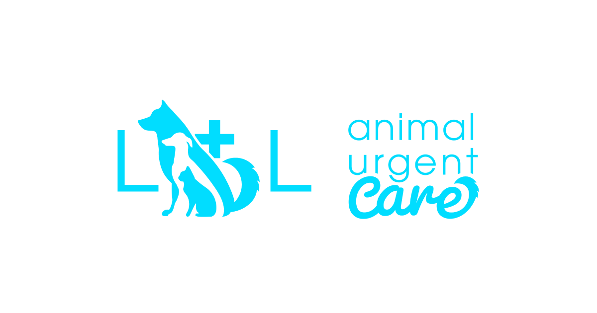High Quality Vet Hospital In Kirkland WA L L Animal Urgent Care high-quality-vet-hospital-in-kirkland-wa-l-l-animal-urgent-care